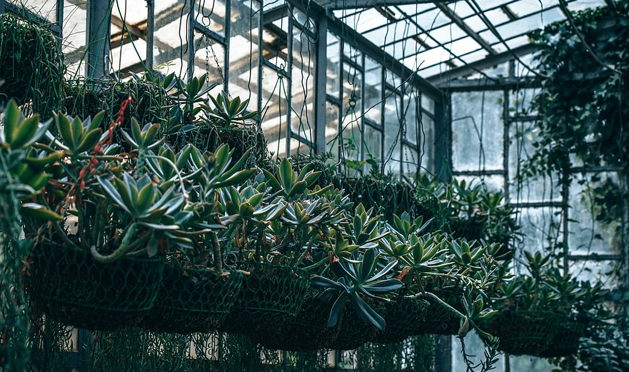 Markenprodukte von HOMEbox kaufen  - growandstyle.de